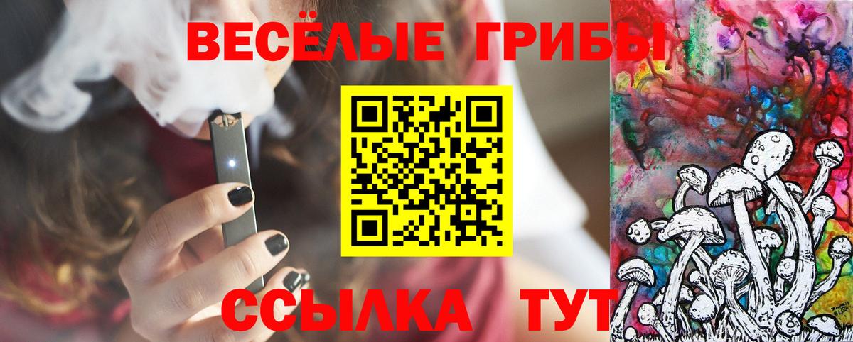 Псилоцибиновые грибы Psilocybe Чебоксары